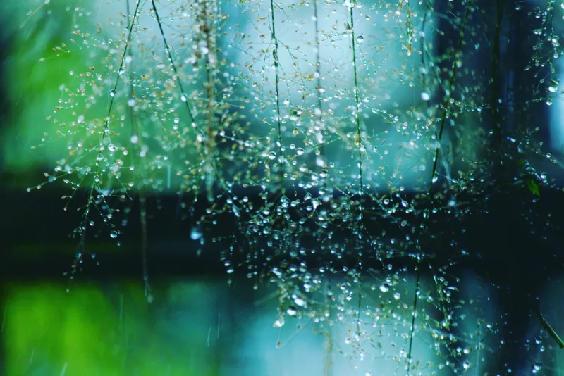 Ketamine-Assisted Therapy